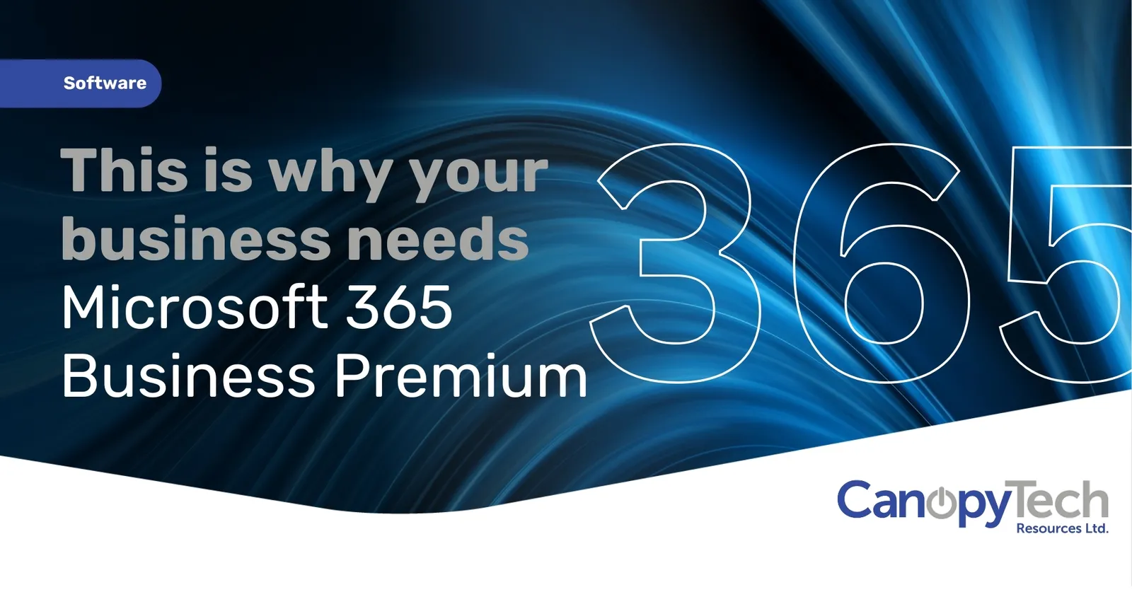 February 2025 Guide – Microsoft 365 Business Premium